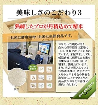 Amazon.co.jp: 【精米】福島県中通り産 白米 ミルキークイーン